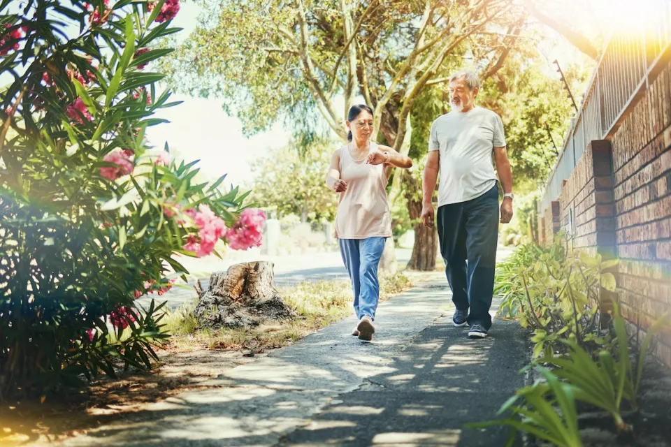Older man and woman walking down sidewalk landscaped with bougainvillas next to a brick wall on a sunny day.